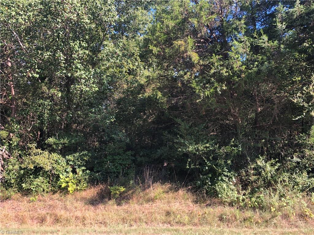 5203 Mt Willing Road Mebane, NC 27302 - Photo 2 of 3 Gallery Image 2