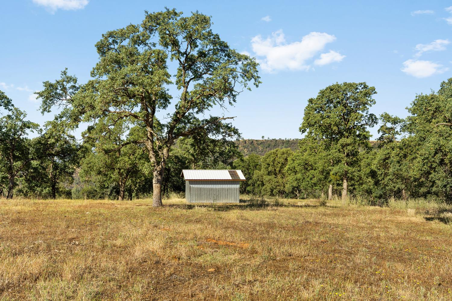1484 Oregon Gulch Road Oroville, CA 95965 - Photo 4 of 78