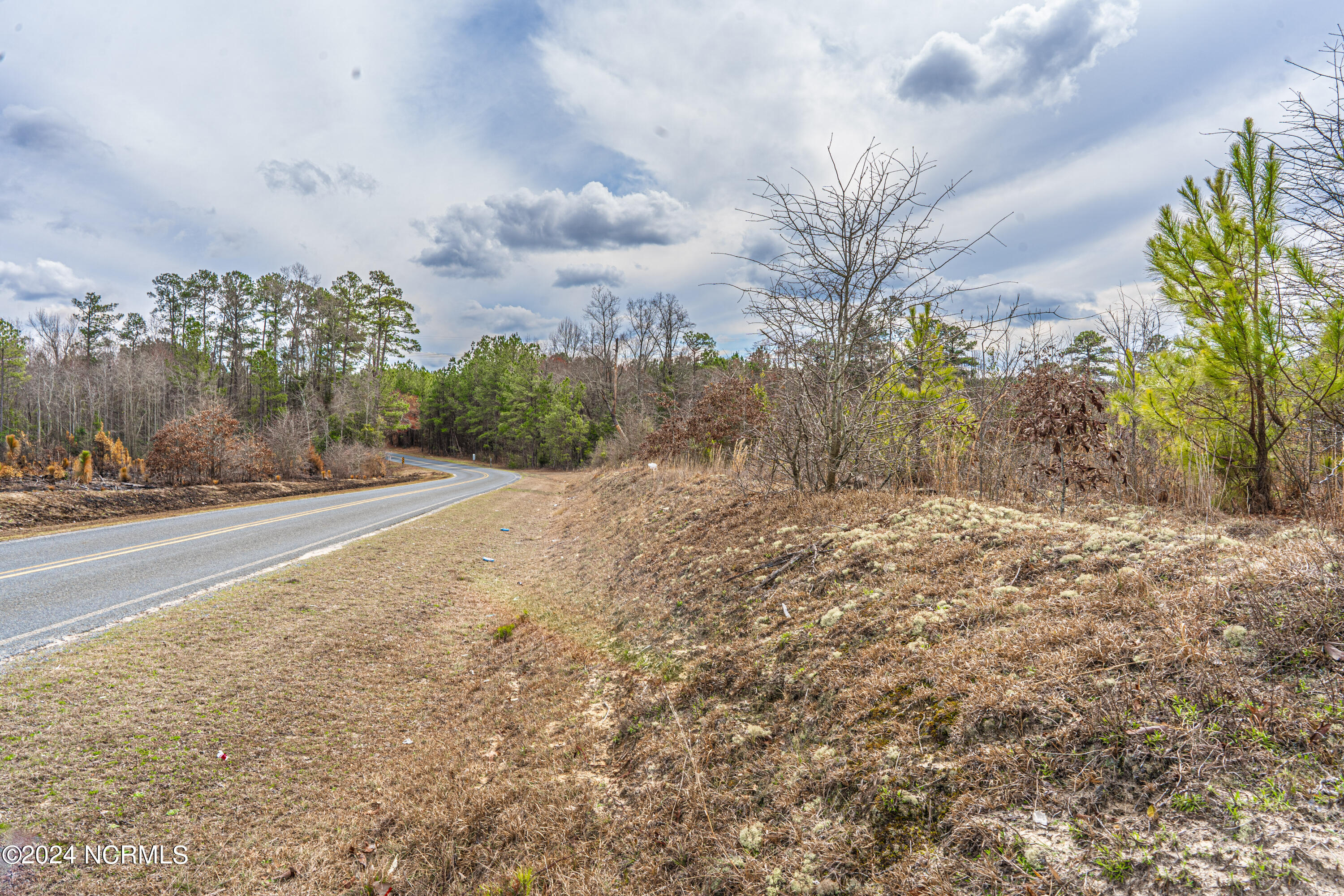 Tbd Cedar Lane Road Ellerbe, NC 28338 - Photo 16 of 17 TBD Cedar Lane Road