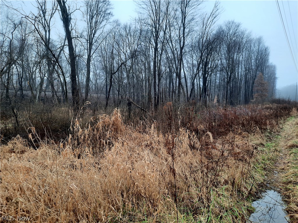 South Medina Line Road Wadsworth, OH 44281 - Photo 1 of 3 Gallery Image 1