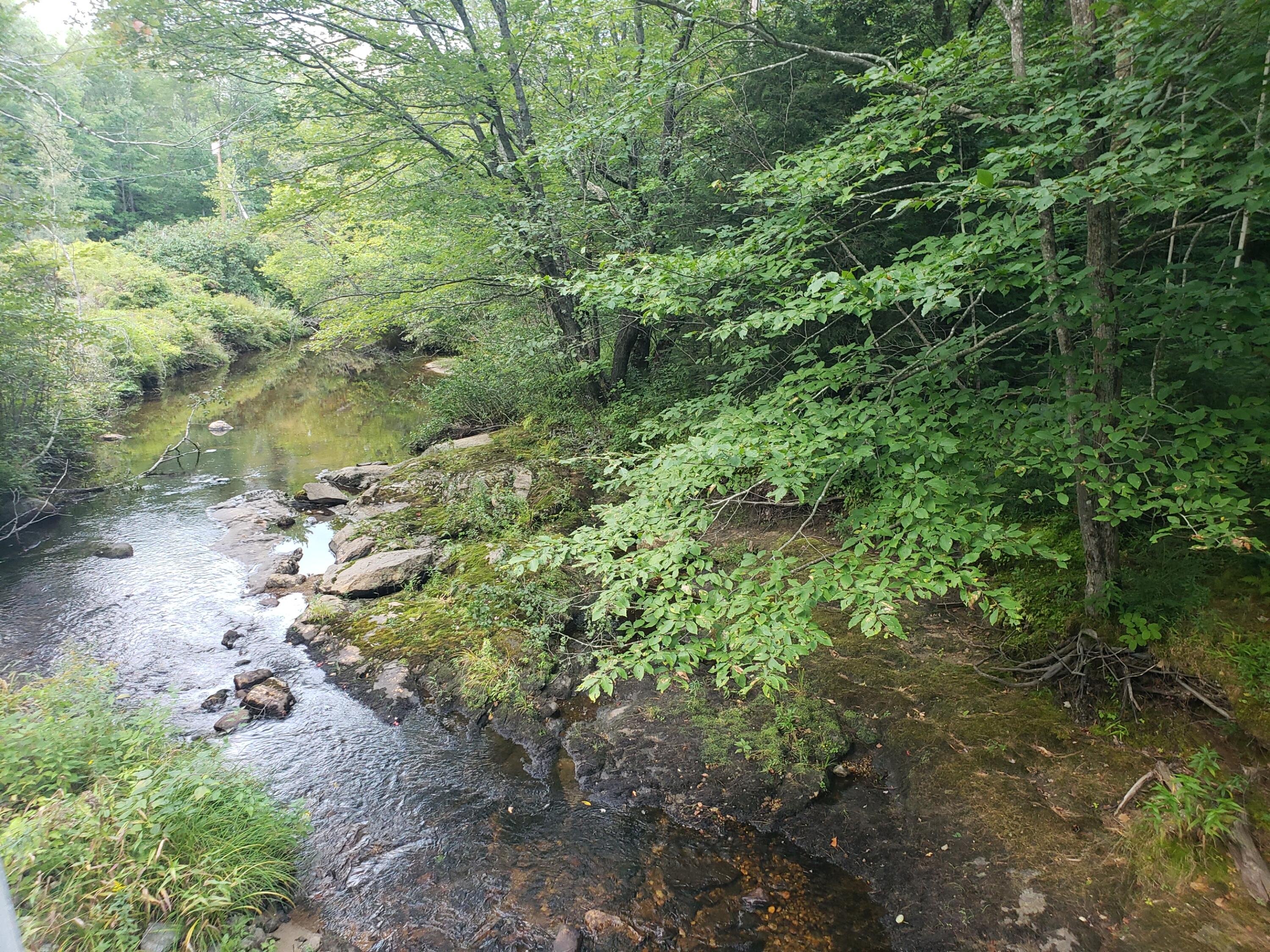 Tbd Tuell Hill Road Sumner, ME 04292 - Photo 3 of 8 river below bridge & lot