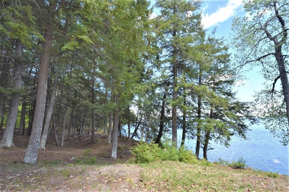 244 Smith Road Princeton, ME 04668 - Photo 33 of 43 Mature woods...