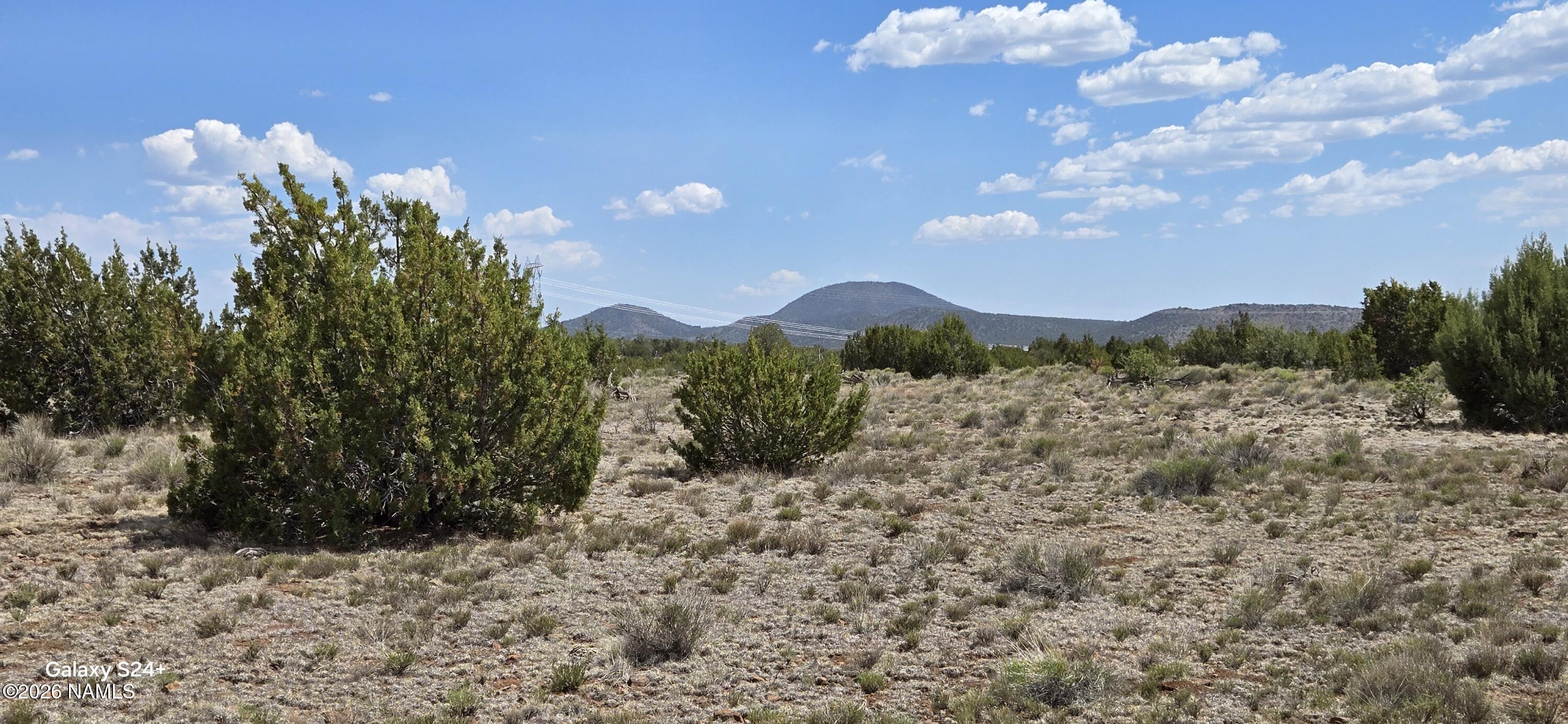227 Mountain Cat Road Williams, AZ 86046 - Photo 3 of 13 a view of a bunch of trees in middle of the green field