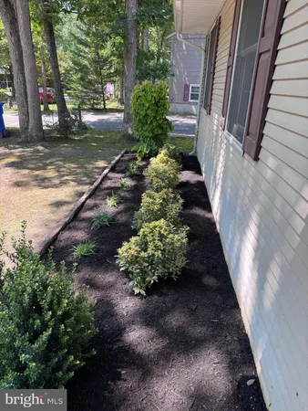 a view of a pathway with a yard