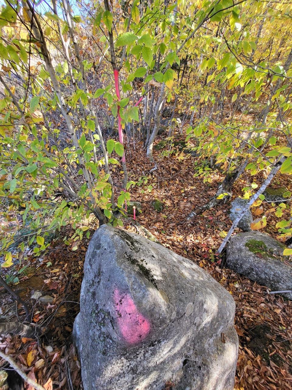 Lot 9 Moose Ridge Road Oakfield, ME 04763 - Photo 31 of 38 image16