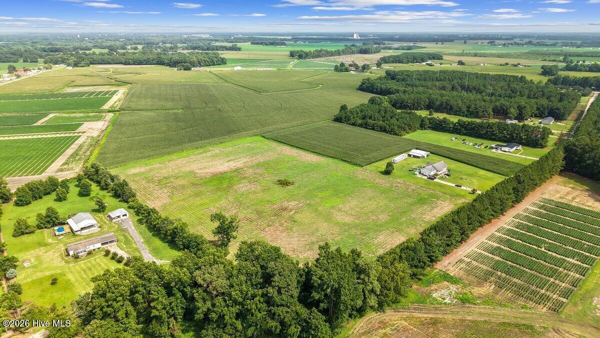 Lot 1 Waller Road Mount Olive, NC 28365 - Photo 4 of 15 Gallery Image 4