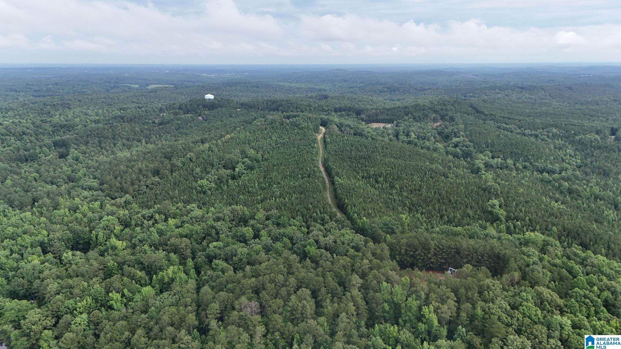 0 Skyview Lake Road Cottondale, AL 35453 - Photo 11 of 22