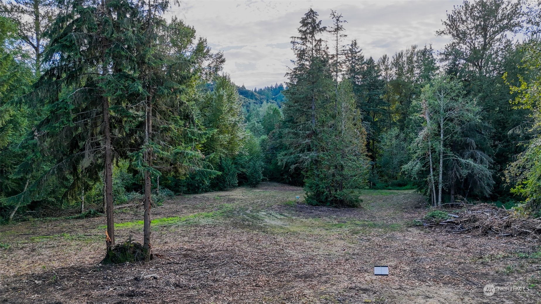 22333 Redmond-Fall City Road Northeast Redmond, WA 98053 - Photo 10 of 36 Gallery Image 10