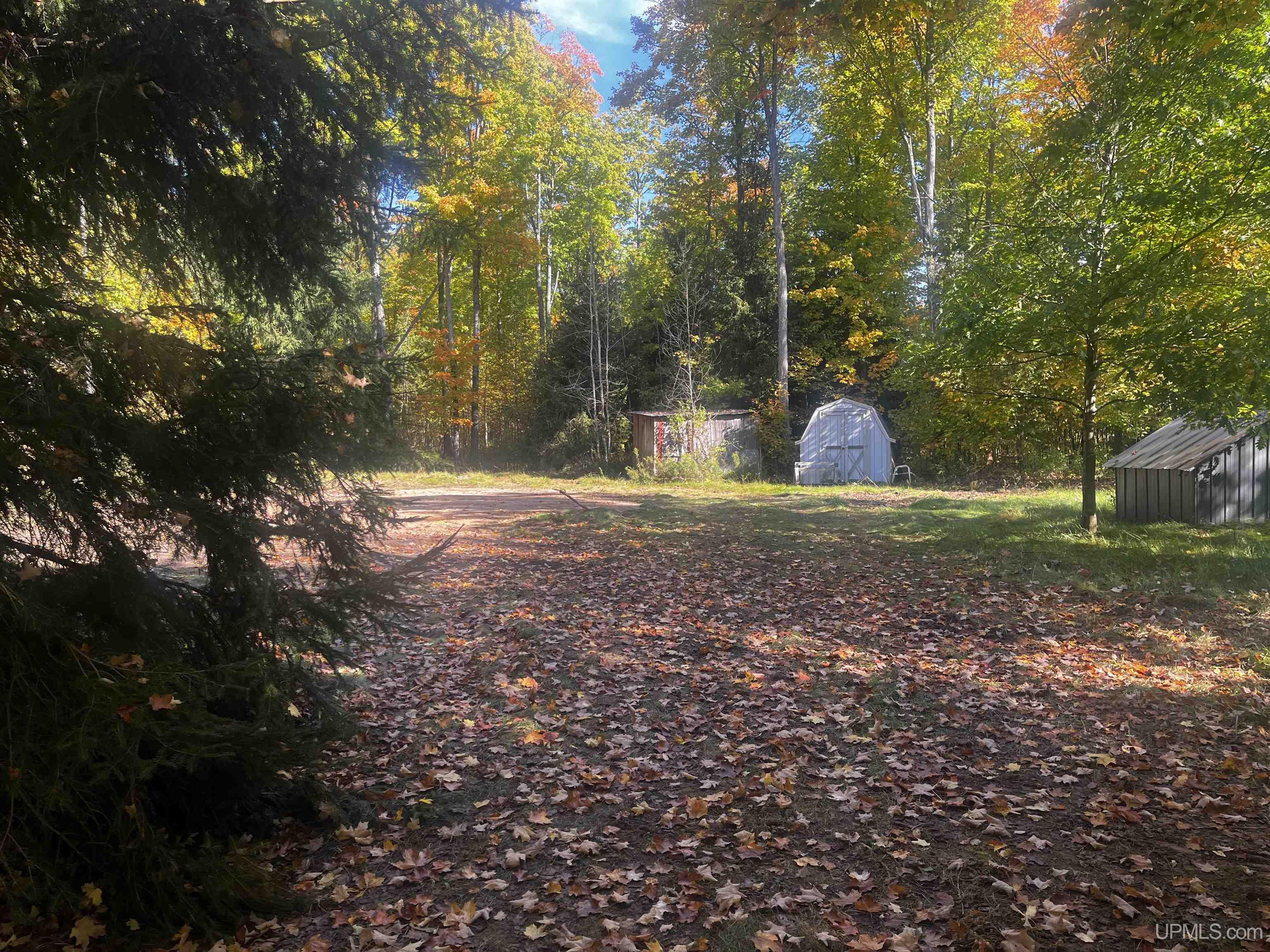 4104 Storm Road Chatham, MI 49816 - Photo 1 of 45