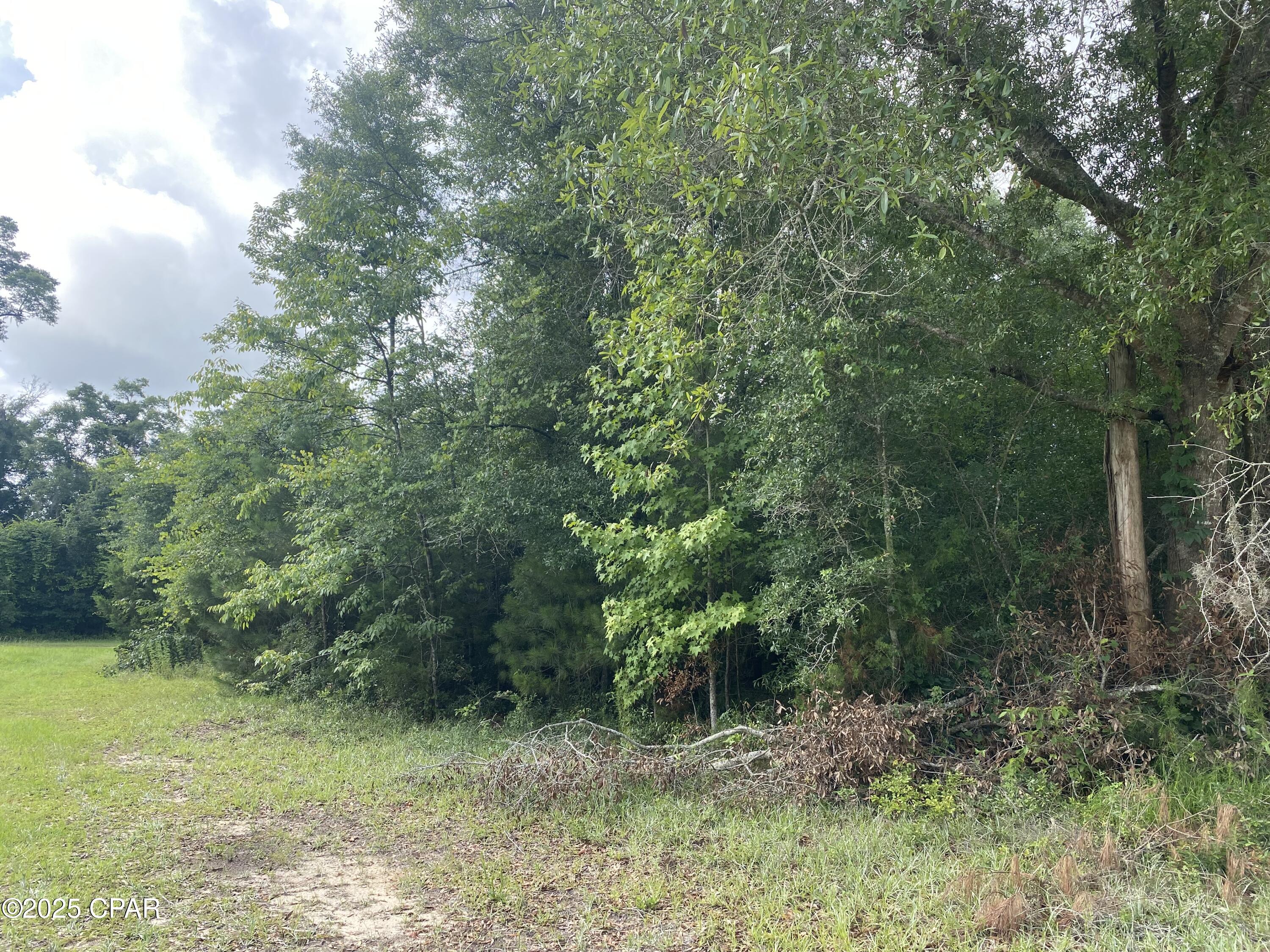 0 Robins Way, Unit 36 Marianna, FL 32446 - Photo 1 of 11