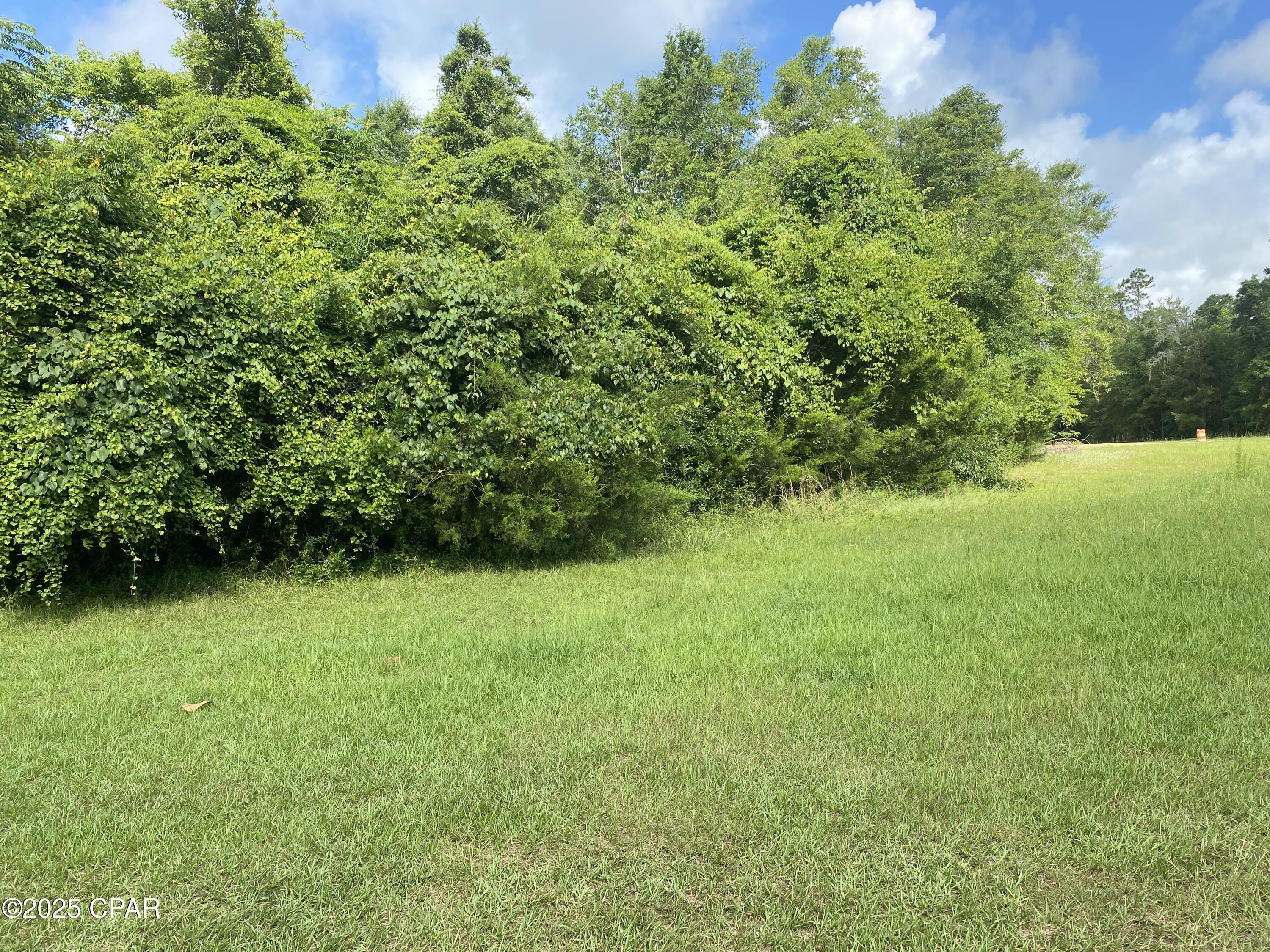 0 Robins Way, Unit 36 Marianna, FL 32446 - Photo 3 of 11