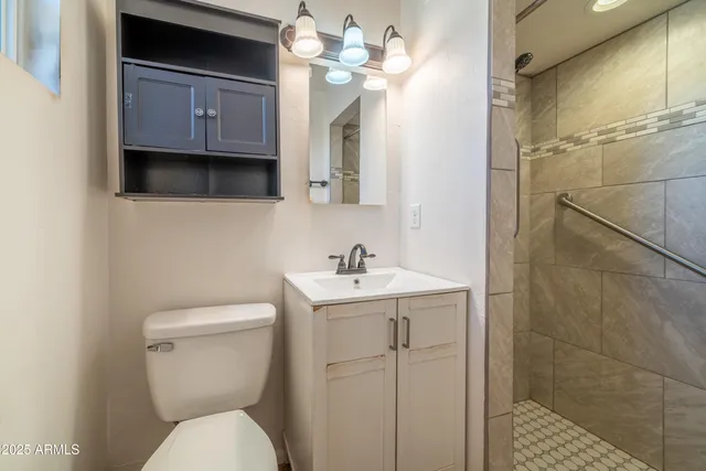 a bathroom with a toilet a sink and mirror