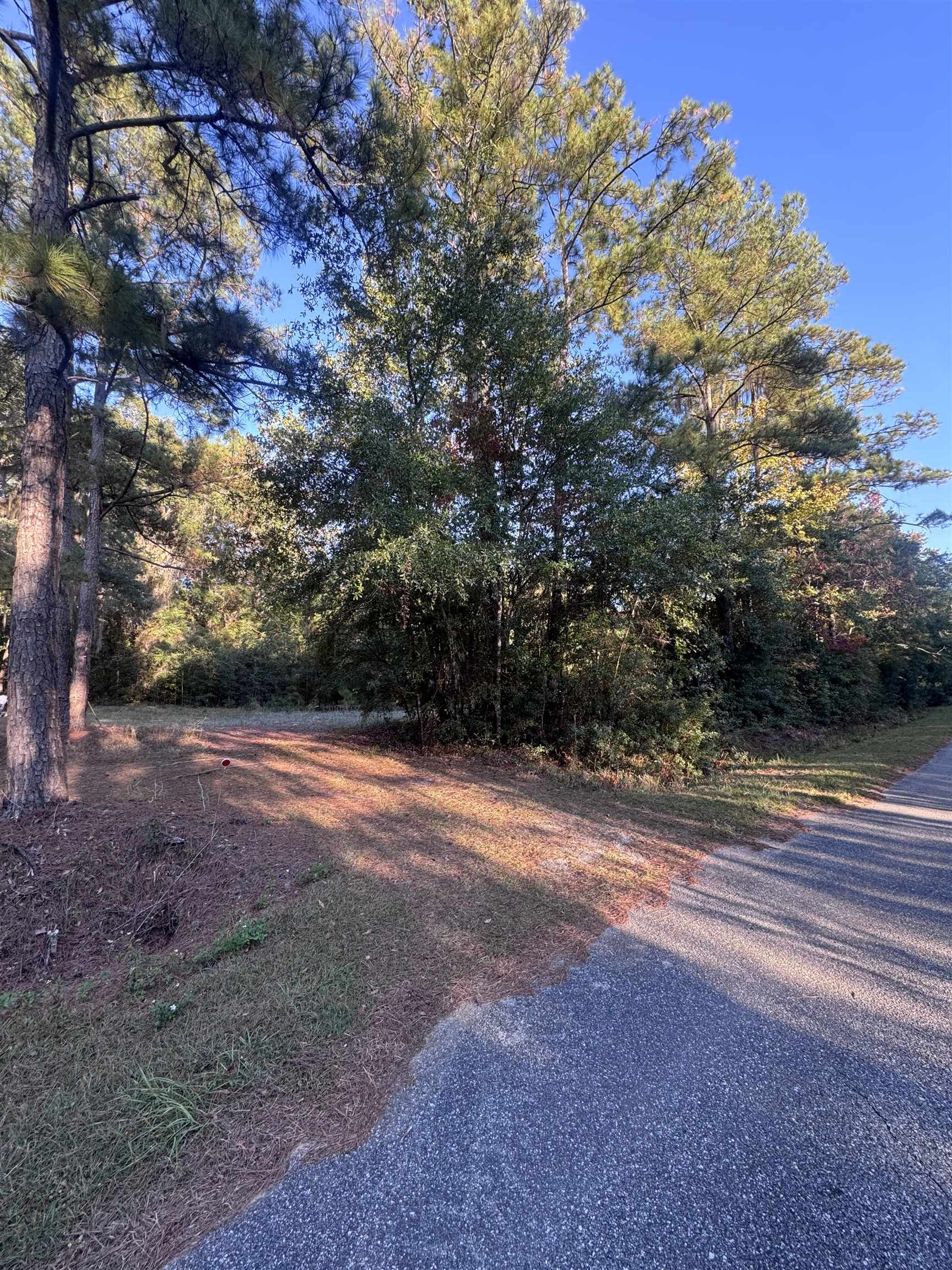 153 Davidson Street Quincy, FL 32351 - Photo 11 of 11