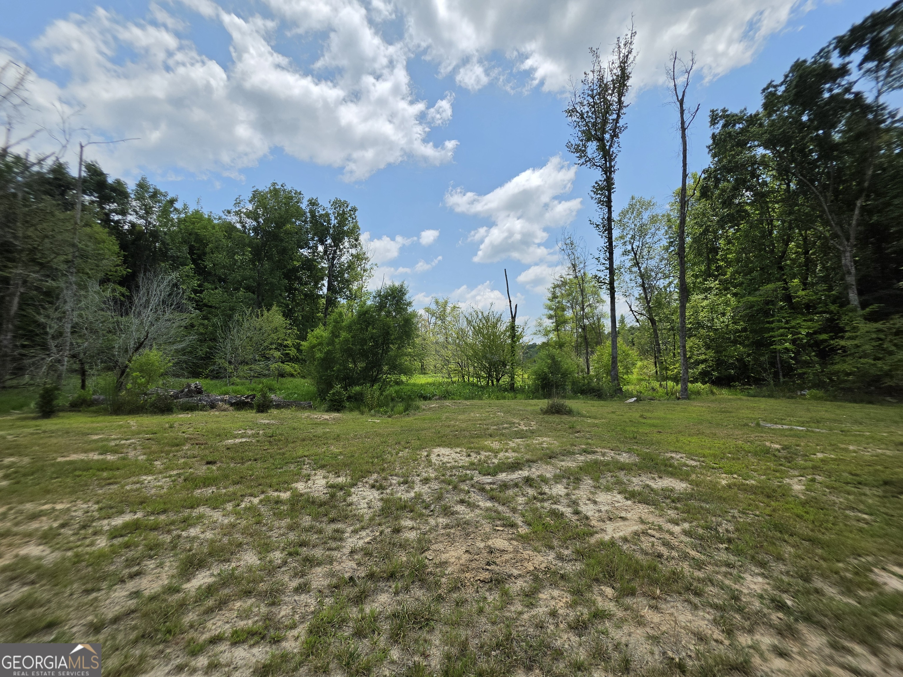 0 Court Ground Washington, GA 30673 - Photo 19 of 46 Gallery Image 19