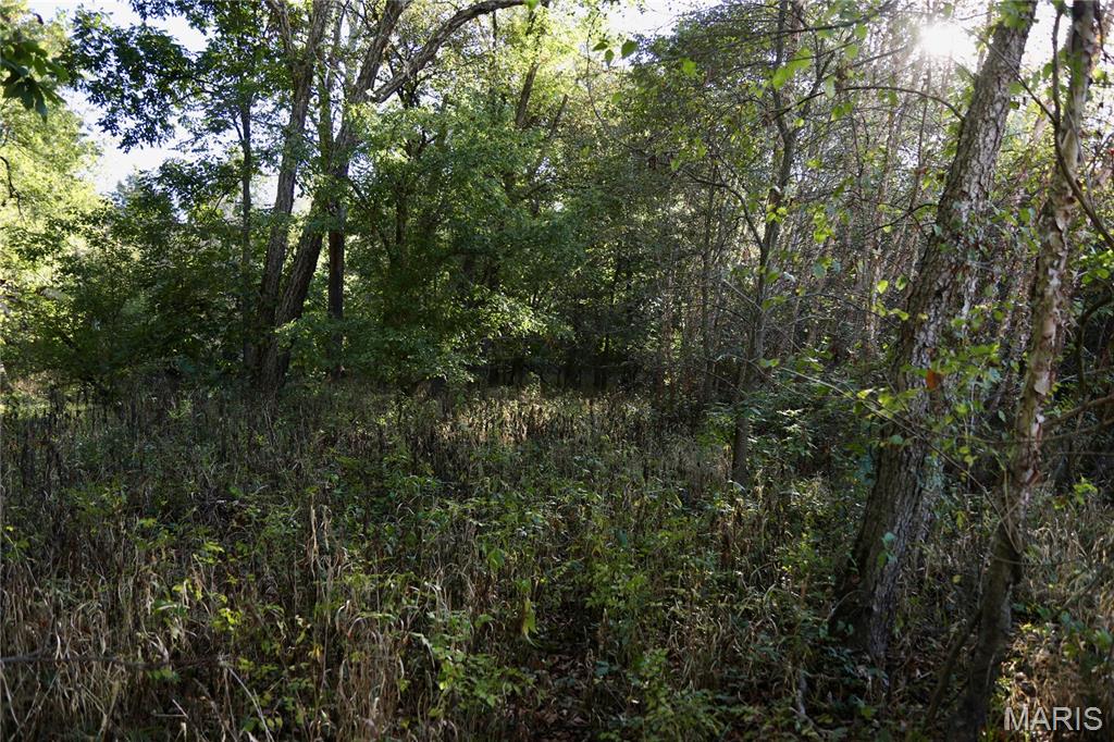 1 Landmark Road Iuka, IL 62849 - Photo 20 of 40 Gallery Image 20