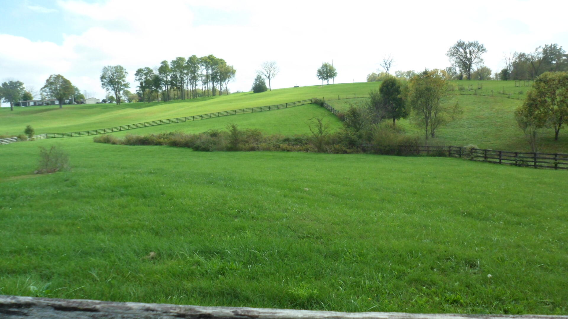 479 Locust Fork Road Stamping Ground, KY 40379 - Photo 11 of 50 back field 6