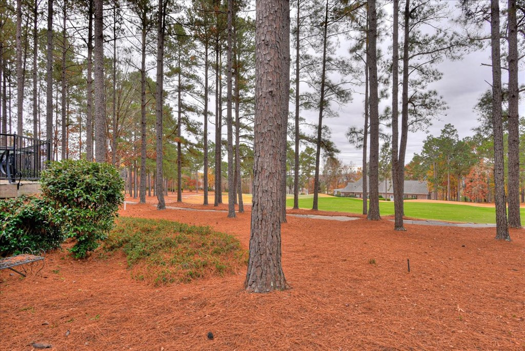 296 Forest Pines Road Aiken, SC 29803 - Photo 34 of 35 Gallery Image 34