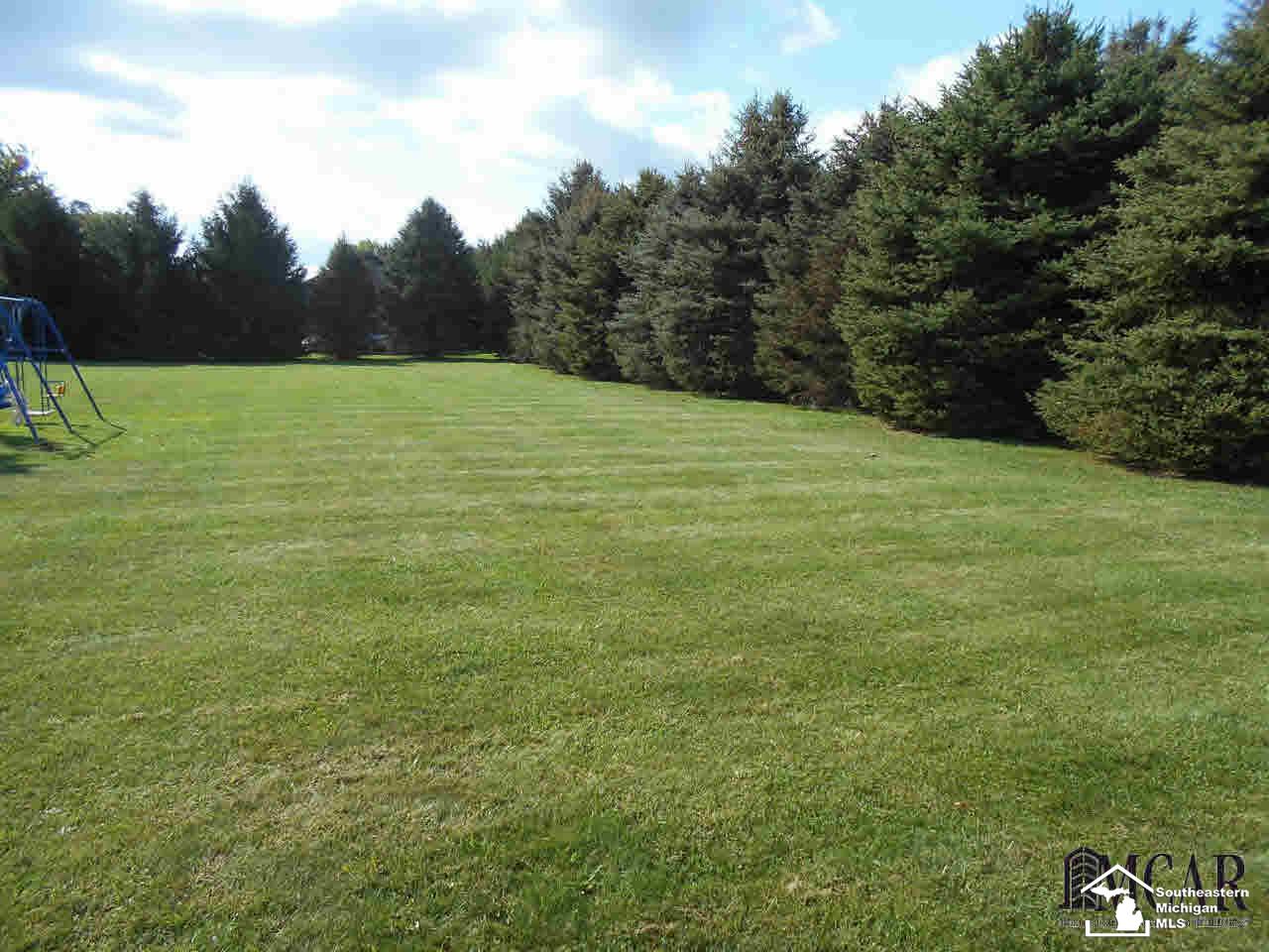 1278 Wells Road Dundee, MI 48131 - Photo 34 of 42 21376150-33.JPG