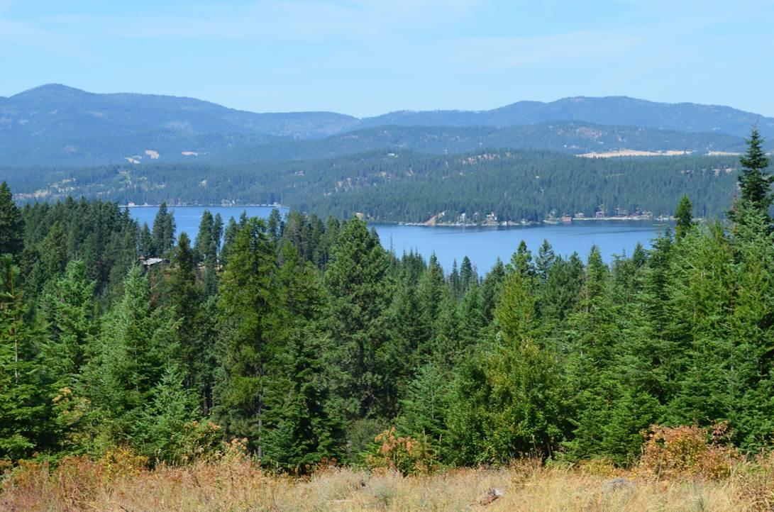 L1-b8 South Lahaina Road Harrison, ID 83833 - Photo 1 of 1 View from Pad