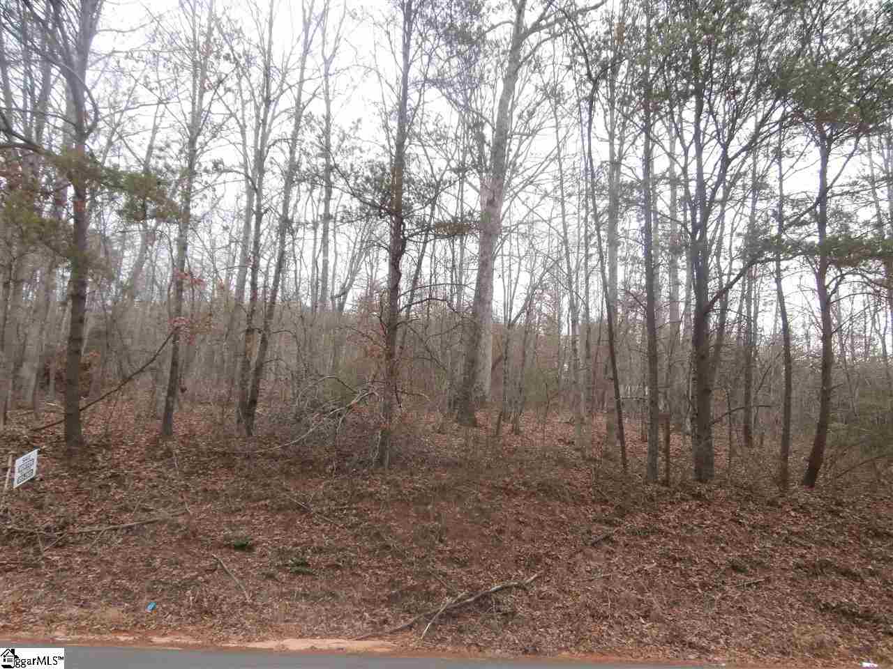 0 Wolf Creek Road Pickens, SC 29671 - Photo 1 of 1