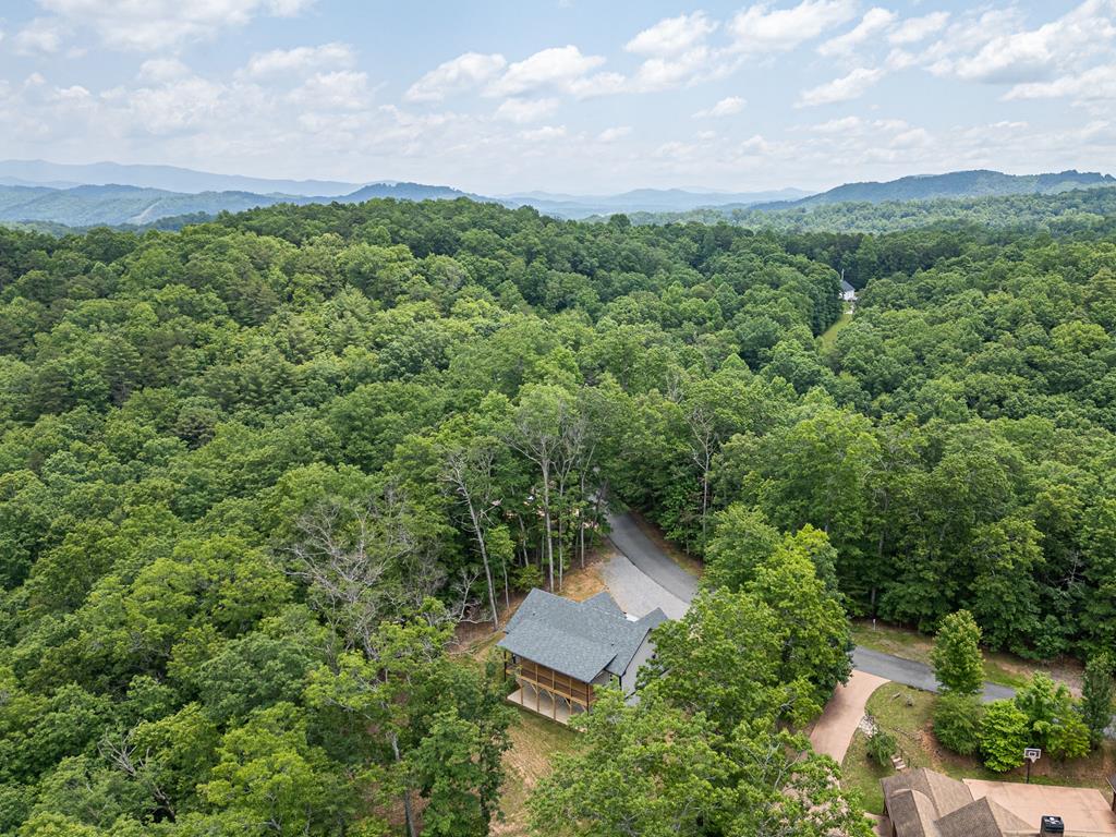 98 Reserve Estate Murphy, NC 28906 - Photo 51 of 55