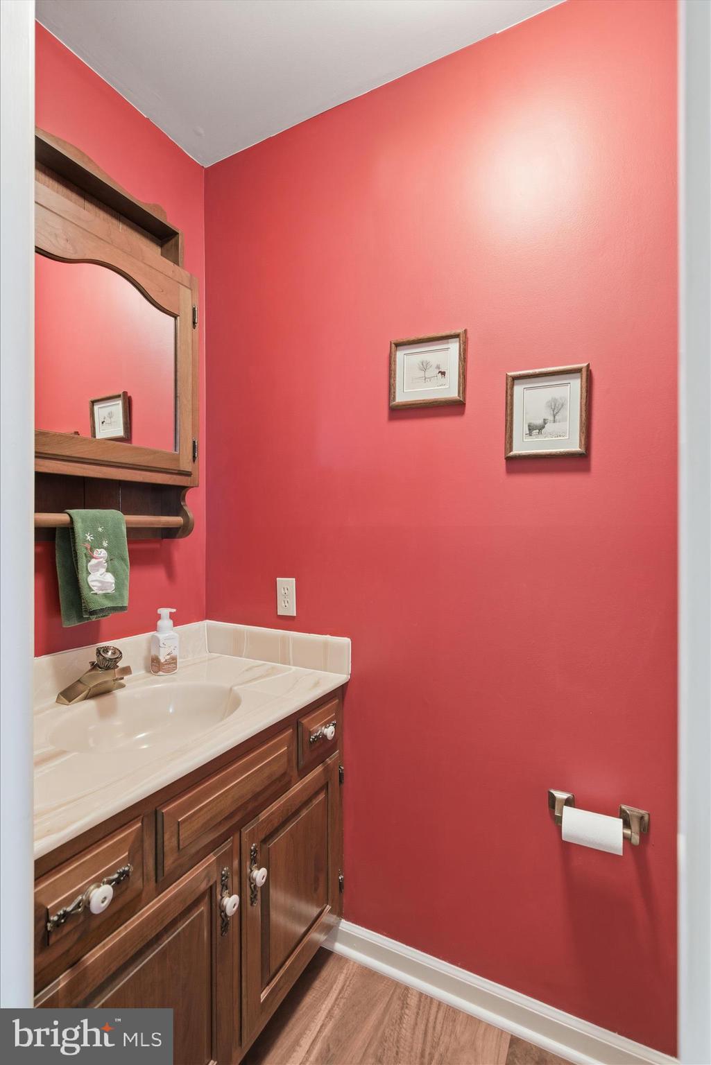 546 Hi View Drive Lititz, PA 17543 - Photo 11 of 65 a bathroom with a sink and a mirror