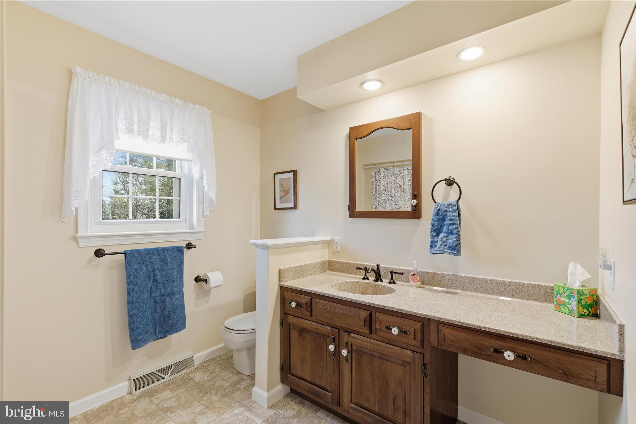 546 Hi View Drive Lititz, PA 17543 - Photo 43 of 65 a bathroom with a sink and a toilet