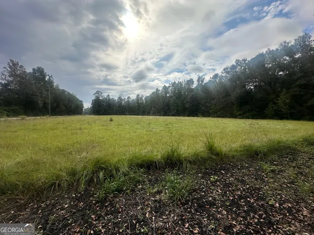 $995,000 | 0 Low Ground Road, Guyton, GA 31312
