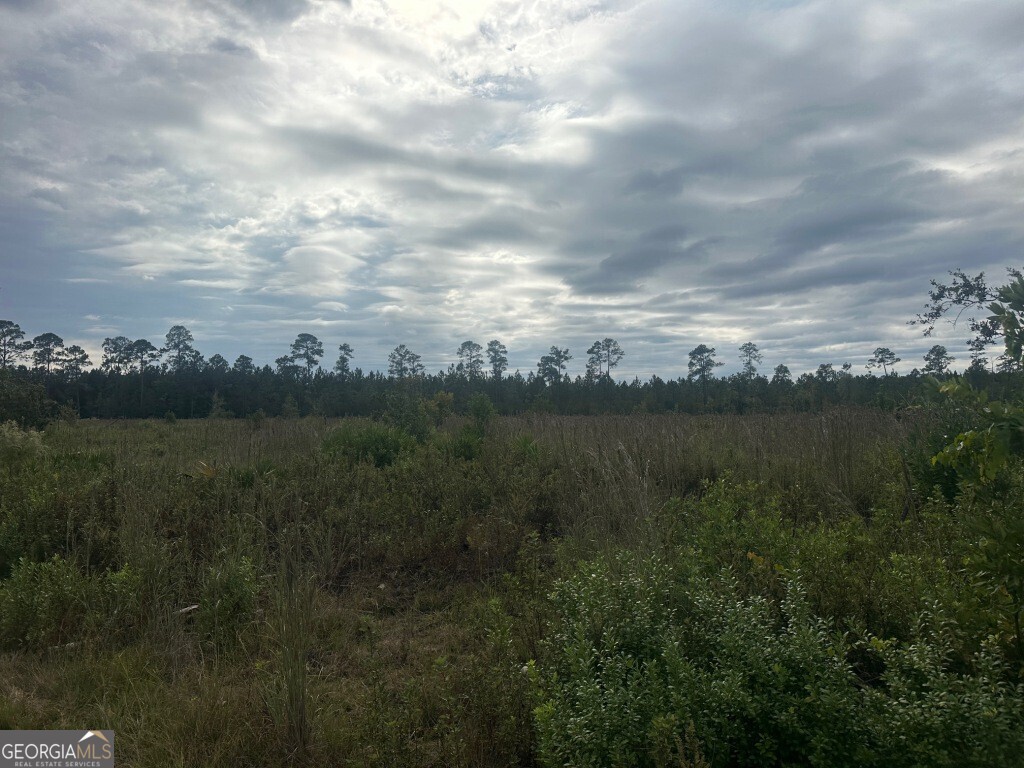 0 Low Ground Road Guyton, GA 31312 - Photo 12 of 17 a view of lake with mountain