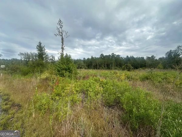 a view of a green field with lots of bushes