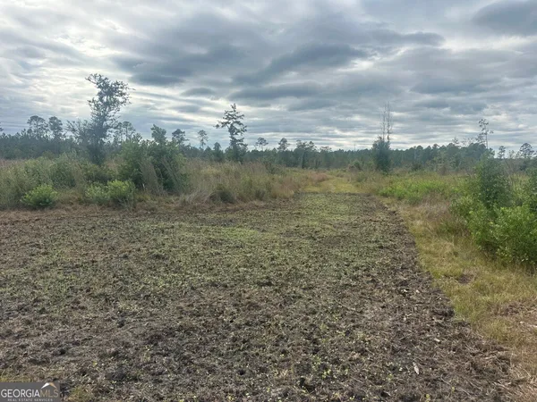 a view of a lake from a yard