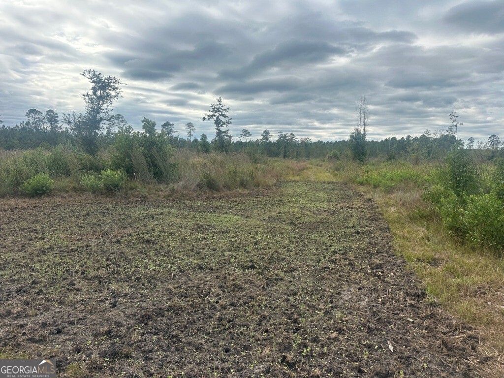 0 Low Ground Road Guyton, GA 31312 - Photo 14 of 17 a view of a lake from a yard
