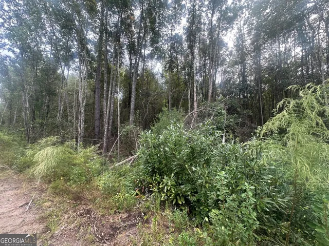 $995,000 | 0 Low Ground Road, Guyton, GA 31312