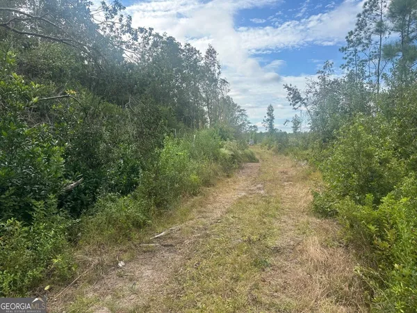a view of a yard with a tree