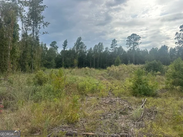 a view of a field with trees in the background