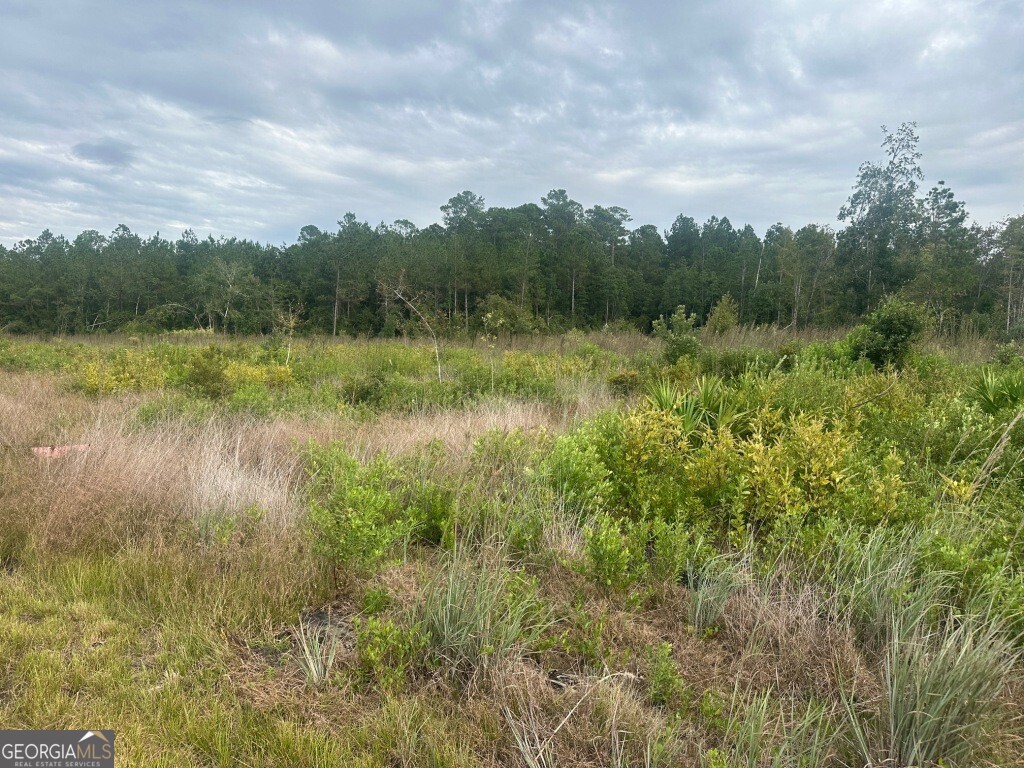 0 Low Ground Road Guyton, GA 31312 - Photo 3 of 17 a view of a lake with green space