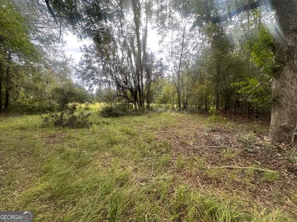 a big yard with lots of green space and trees