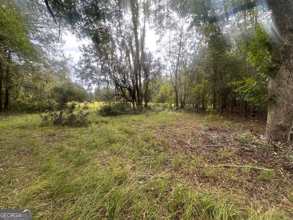 0 Low Ground Road Guyton, GA 31312 - Photo 4 of 17 a big yard with lots of green space and trees