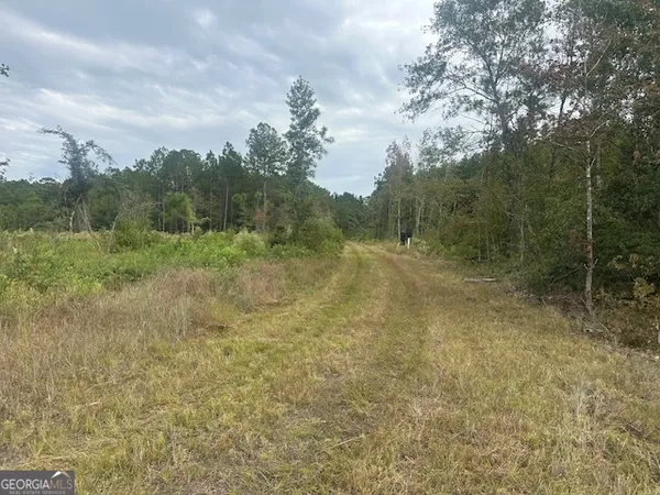 a view of a field with trees in the background