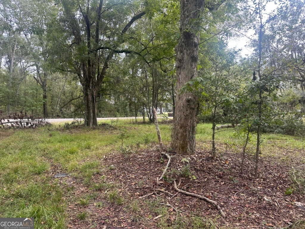 0 Low Ground Road Guyton, GA 31312 - Photo 6 of 17 a view of outdoor space with trees