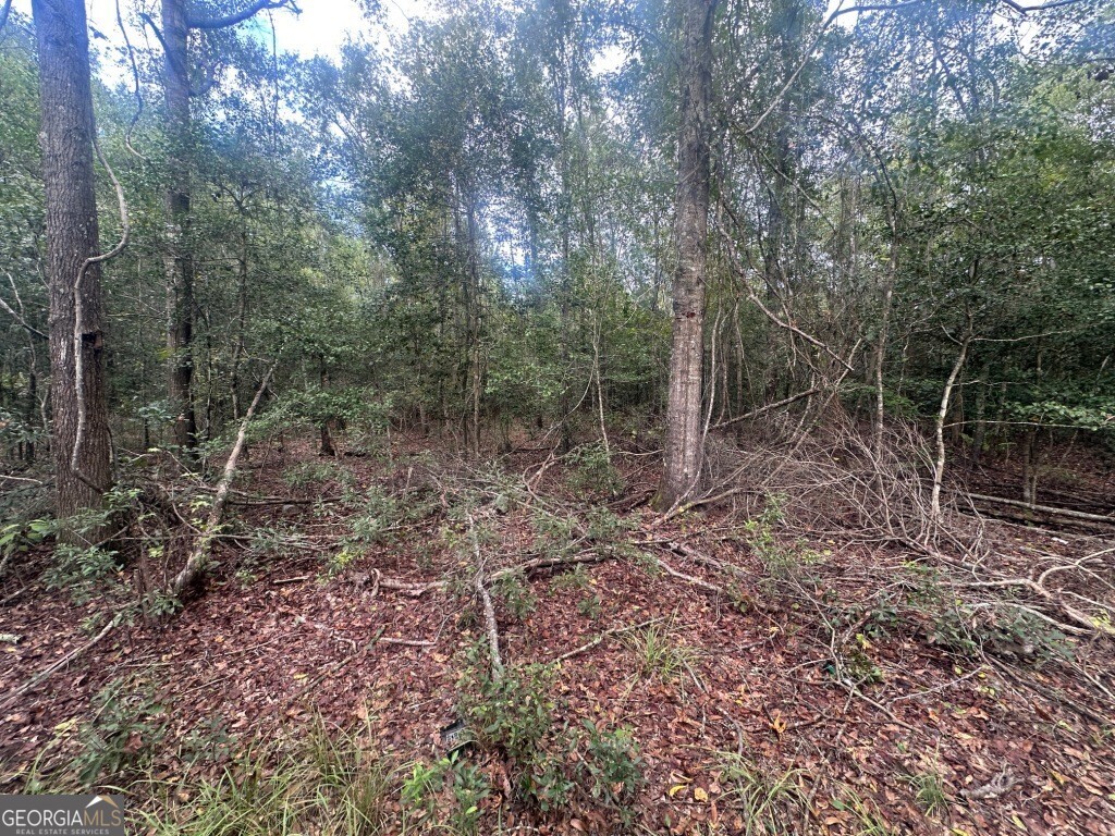 0 Low Ground Road Guyton, GA 31312 - Photo 8 of 17 a view of a forest filled with trees