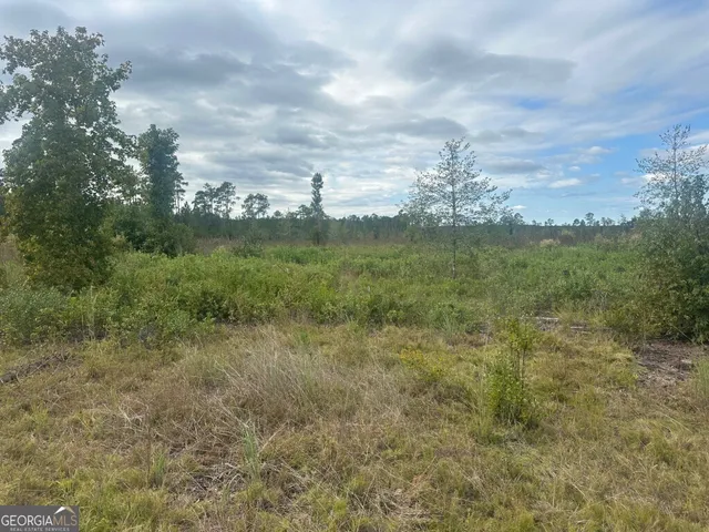 $995,000 | 0 Low Ground Road, Guyton, GA 31312