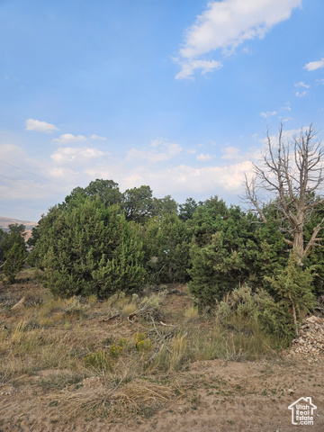 915 South Stagecoach Road, Unit 8 Fruitland, UT 84027 - Photo 25 of 40 Beautiful Property Views - Nice Large Trees!