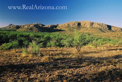 17 Poorwill Canyon Road Rio Rico, AZ 85648 - Photo 8 of 9