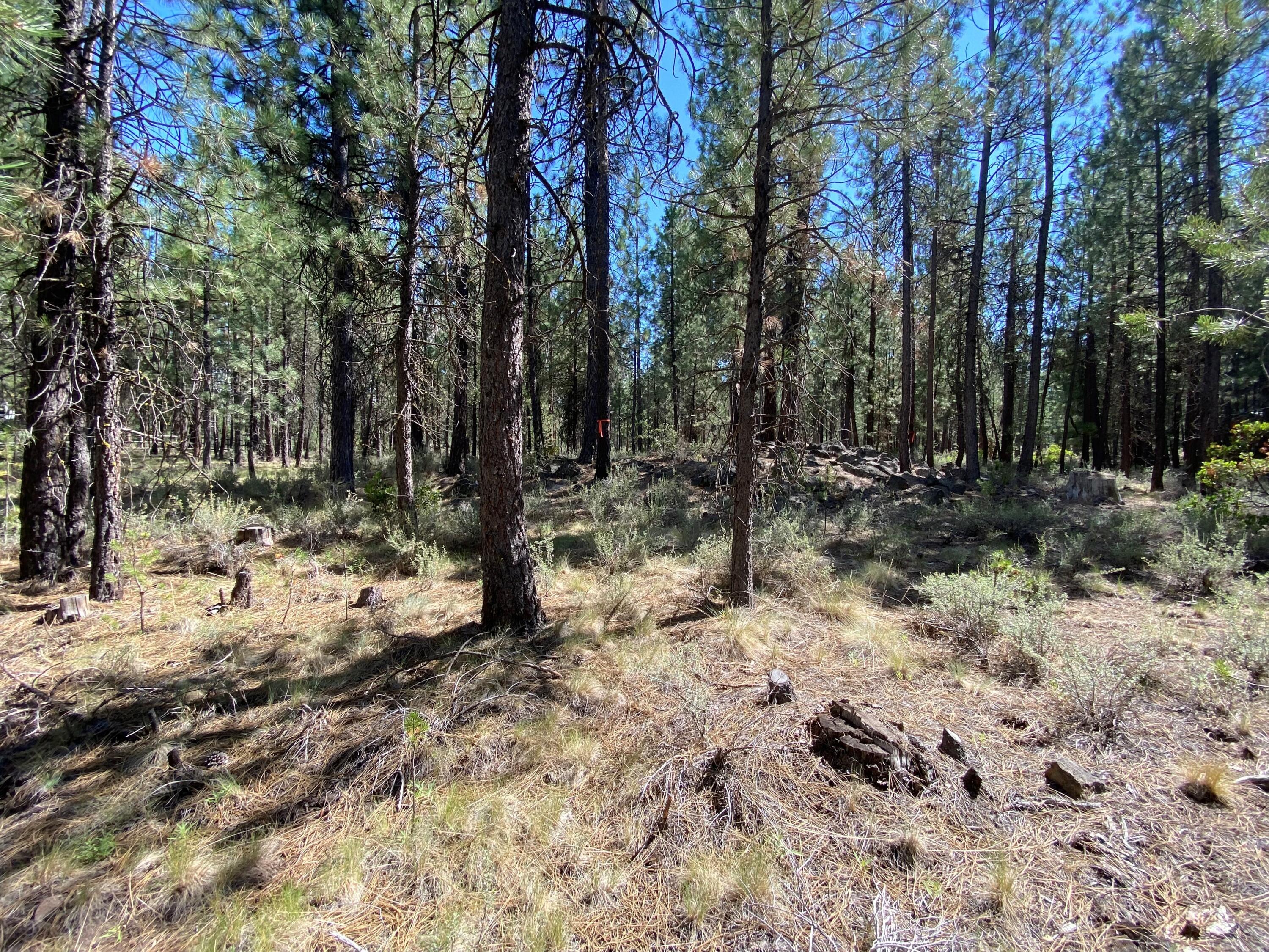 16917 Jacinto Road Bend, OR 97707 - Photo 4 of 36 4