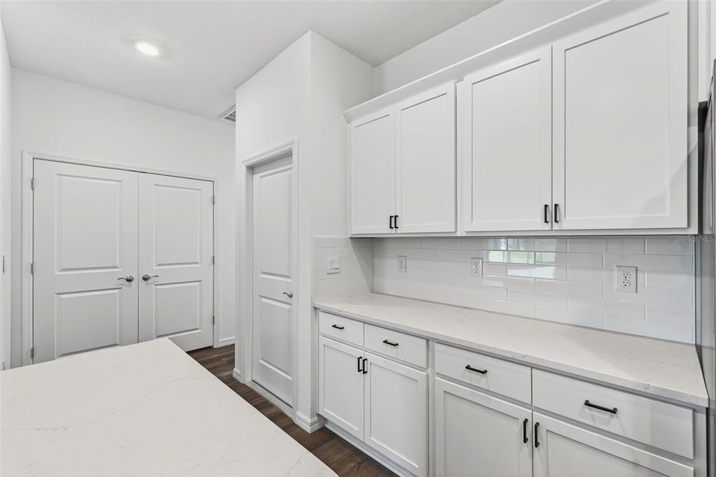 31463 Paper Birch Street Wesley Chapel, FL 33545 - Photo 14 of 40