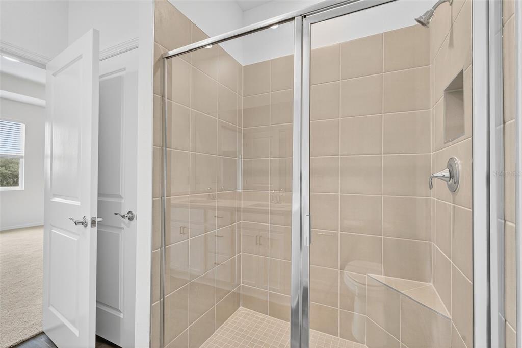 31463 Paper Birch Street Wesley Chapel, FL 33545 - Photo 28 of 40 a bathroom with a glass shower door