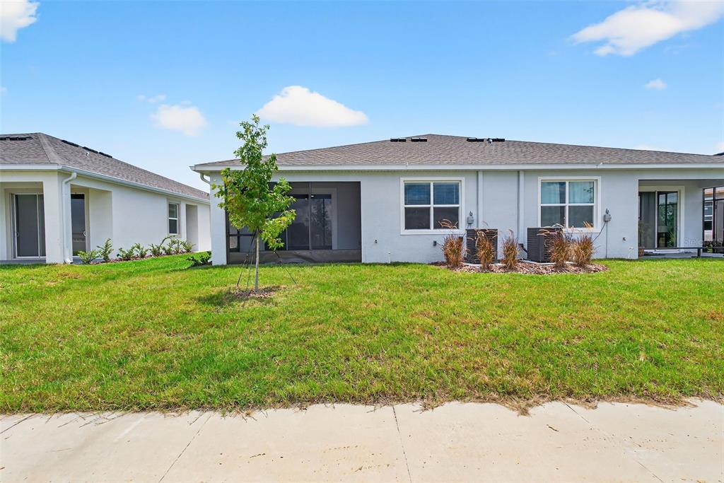 31463 Paper Birch Street Wesley Chapel, FL 33545 - Photo 37 of 40 a view of a house with a backyard