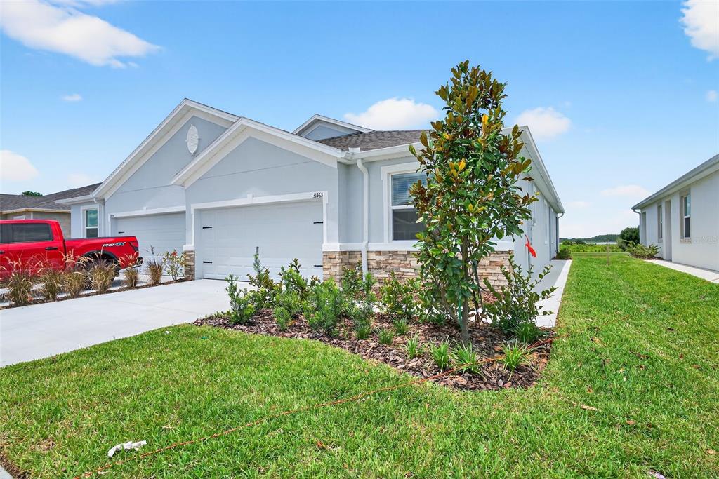 31463 Paper Birch Street Wesley Chapel, FL 33545 - Photo 4 of 40 a front view of a house with garden