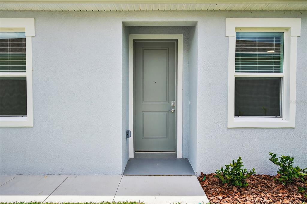 31463 Paper Birch Street Wesley Chapel, FL 33545 - Photo 10 of 40 a view of a house with a yard